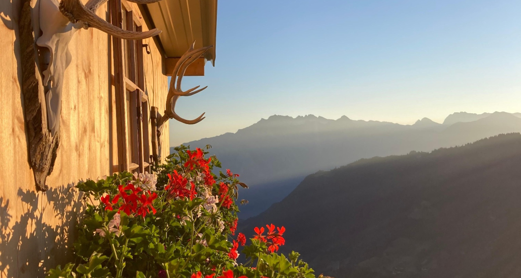 Alp Findels (oua_611520000_image) Alp Findels (oua_611520000_image)