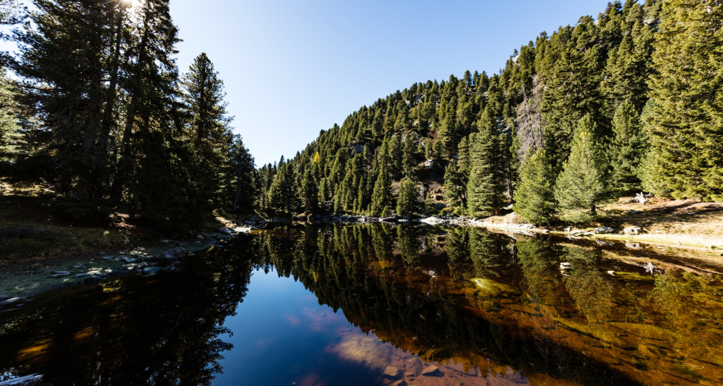 Lai Ner (oua_611520123_image)