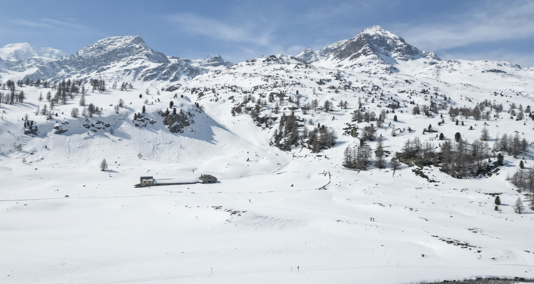 Höhenloipe Alp Bondo Höhenloipe Alp Bondo