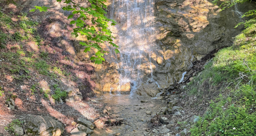 Trail- Route: Palfries Lanaberg