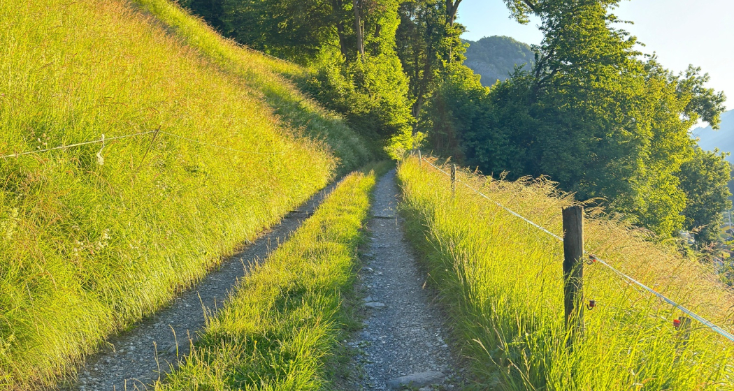 Trail- Route: Palfries Lanaberg