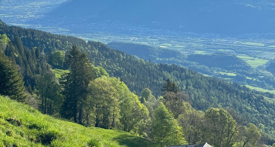 Trail- Route: Palfries Lanaberg