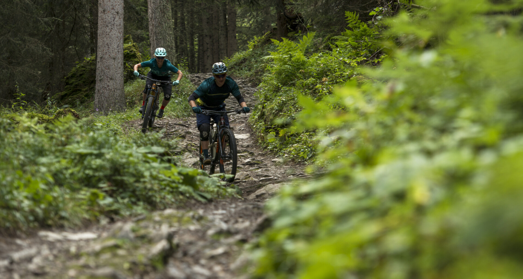 Dunkler Wald Trail Lenzerheide Dunkler Wald Trail Lenzerheide
