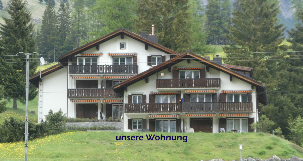 Wohnung im Parterre