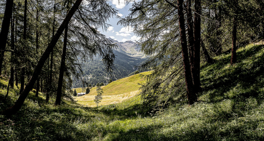 Senda da Muglin Bike: Sent – Vnà – Sur En – Sent (448) (oua_614945866_image)