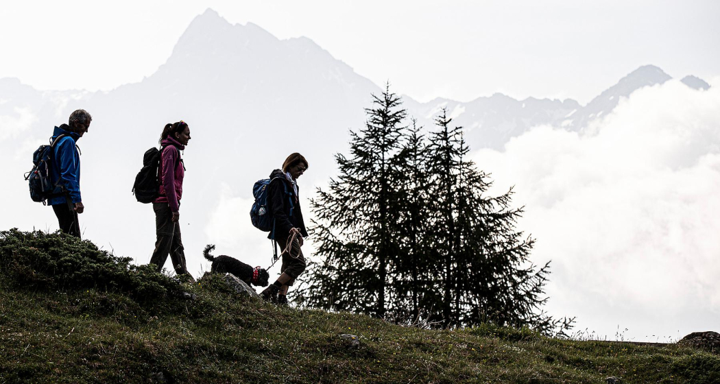 Senda Piz Clünas: Ftan, Prui – Piz Clünas – Ftan, Prui (660) (oua_614945917_image) Senda Piz Clünas: Ftan, Prui – Piz Clünas – Ftan, Prui (660) (oua_614945917_image)