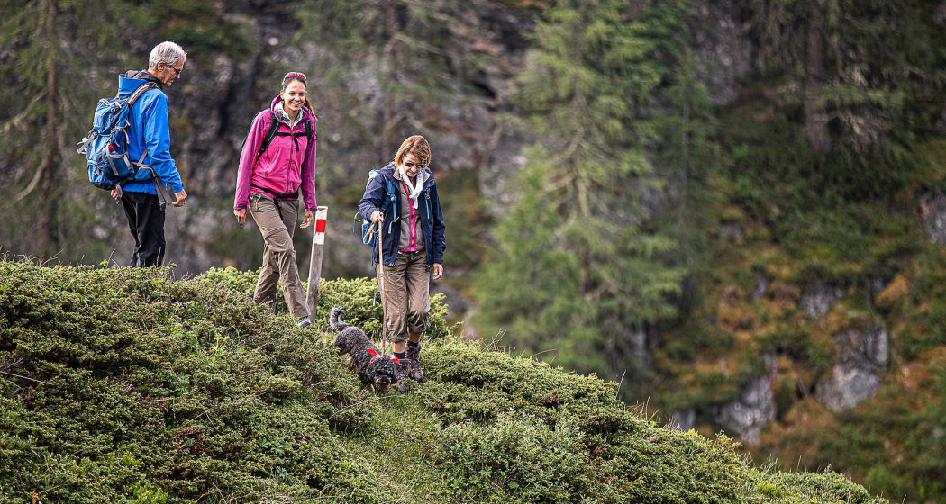 Senda Piz Clünas: Ftan, Prui – Piz Clünas – Ftan, Prui (660) (oua_614945918_image) Senda Piz Clünas: Ftan, Prui – Piz Clünas – Ftan, Prui (660) (oua_614945918_image)