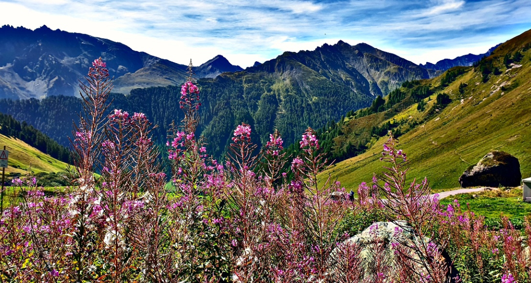 Fair Trail Alp Trida – Laret (oua_615199681_image)