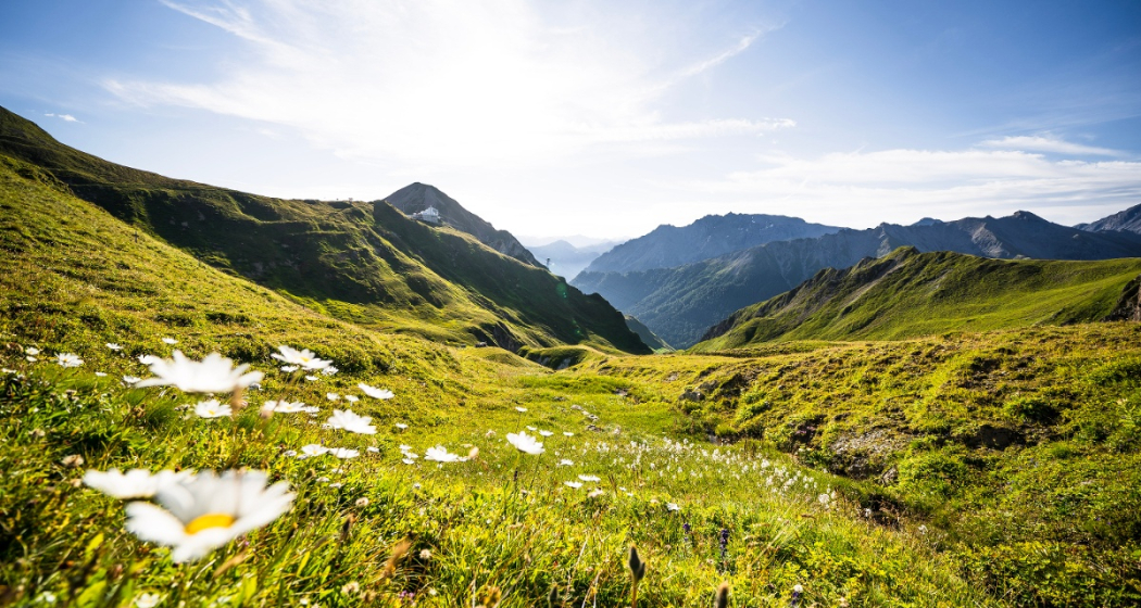 Fair Trail Chavra (oua_615201052_image) Fair Trail Chavra (oua_615201052_image)