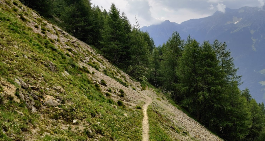 Sentiero Botanico Sassalbo Sentiero Botanico Sassalbo