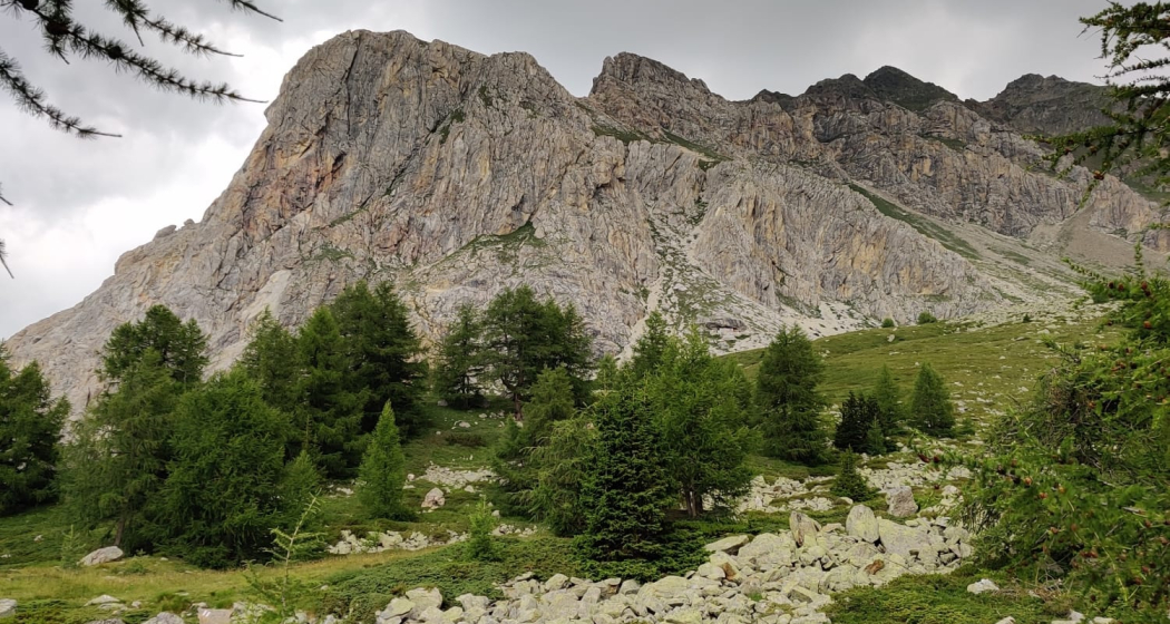 Sentiero Botanico Sassalbo Sentiero Botanico Sassalbo