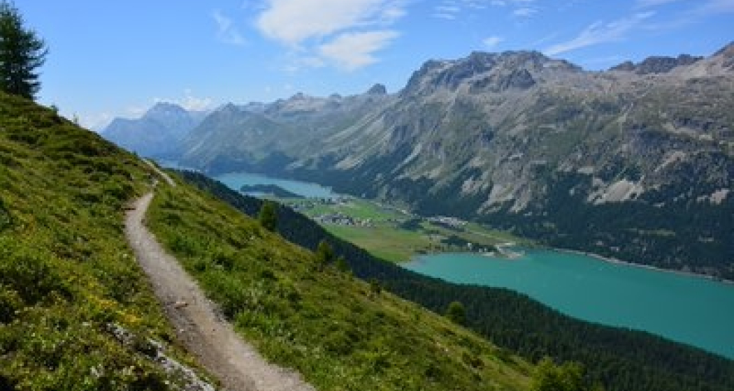 Blick nach Sils Blick nach Sils