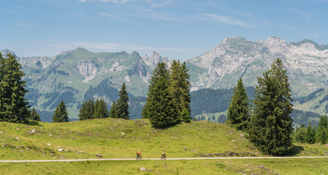 Wildmannli-Bike (oua_616198429_image)