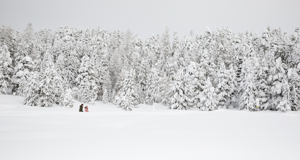 Winterwandern Winterwandern