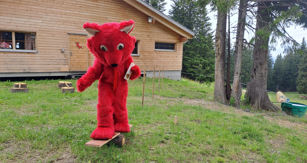 Grüsch Danusa Fuchs absolviert Posten Nummer 7 bei der Gams