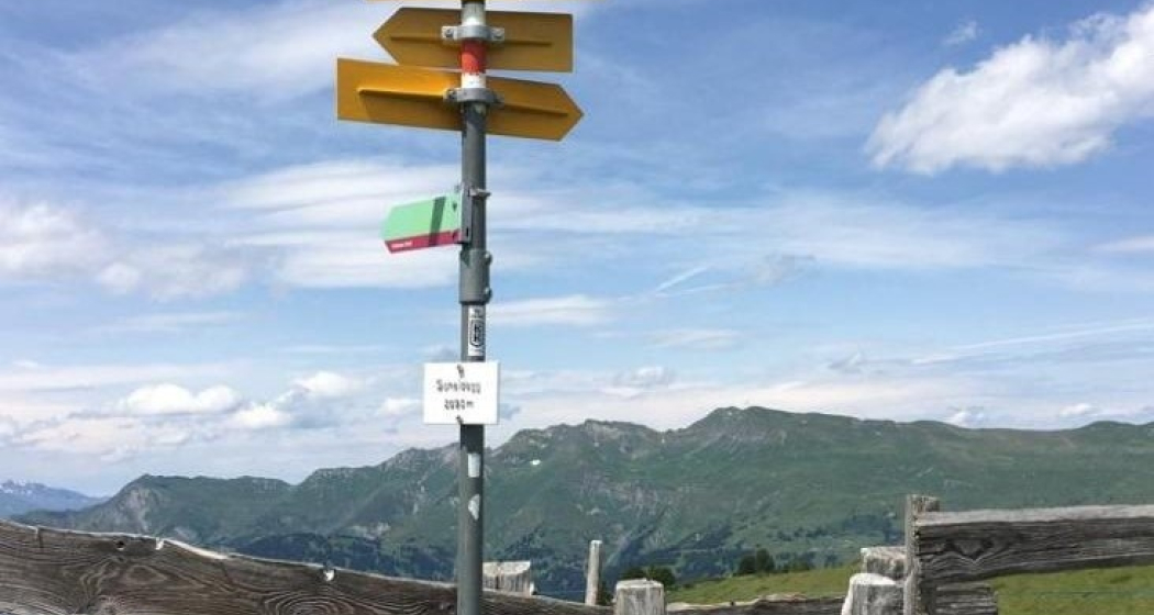 Schatzstation Scheidegg (Bärenbike-Schatzsuche)