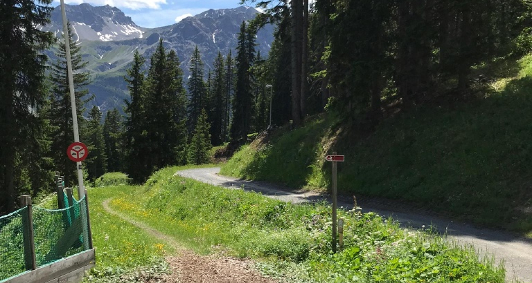 Schatzstation Schlittelpiste (Bärenbike-Schatzsuche) Schatzstation Schlittelpiste (Bärenbike-Schatzsuche)