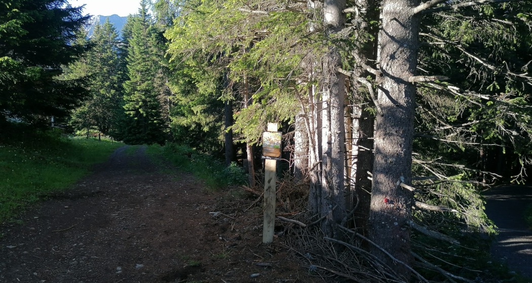 Schatzstation Heimfahrtspiste (Bärenbike-Schatzsuche)