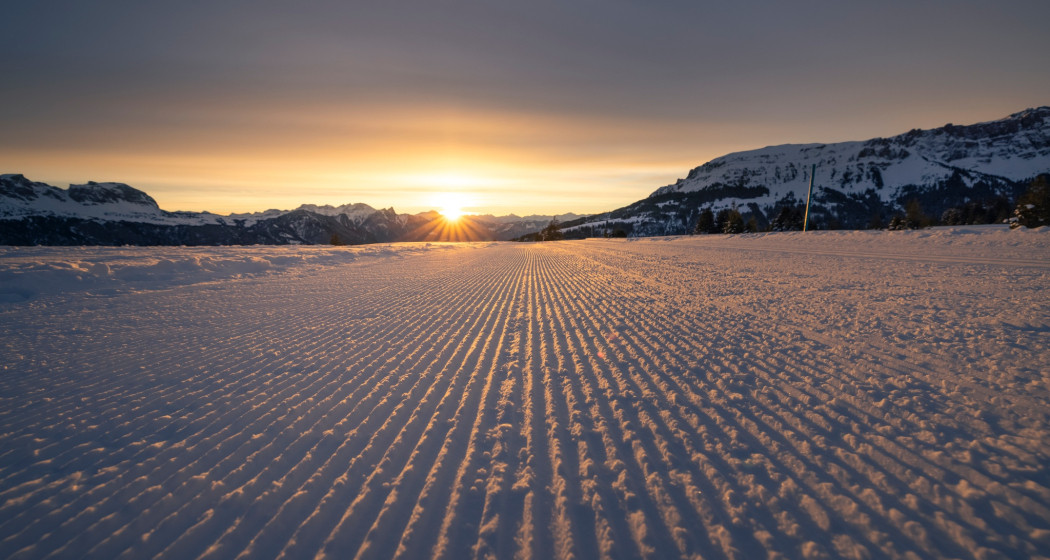 Tannenboden - Prodalp (oua_617544172_image)