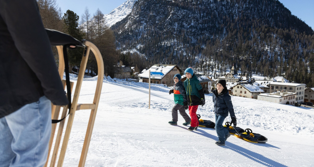 Schlittelwiese Languard (oua_618050911_image) Schlittelwiese Languard (oua_618050911_image)