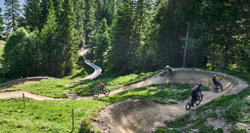 Parnoz Flowtrail (oua_618994066_image) Parnoz Flowtrail (oua_618994066_image)