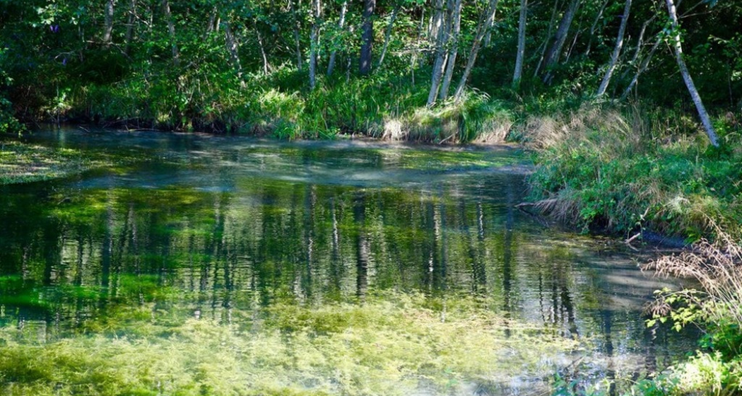 Golena Rosera Lostallo Golena Rosera Lostallo