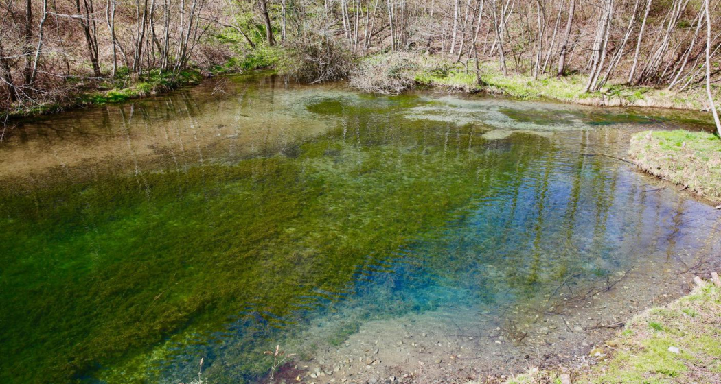 Golena Rosera Lostallo Golena Rosera Lostallo