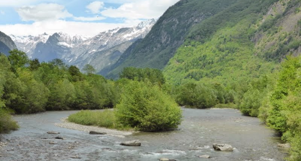 Golena Pascolet Grono Golena Pascolet Grono