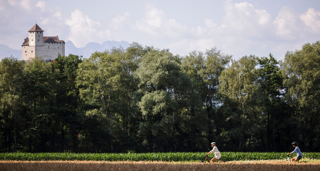 Blick auf Burg Gutenberg in Balzers Blick auf Burg Gutenberg in Balzers