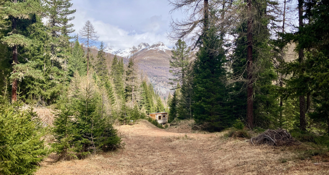 LA SAUNA (oua_620271446_image)