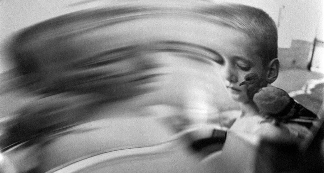 Galleria Monica de Cardenas (oua_620277845_image)