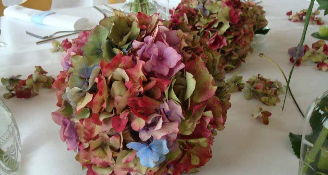 Blumen-Atelier BACCARA (oua_620277952_image)