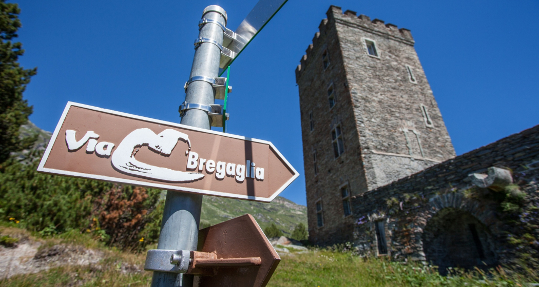Turm Belvedere (oua_620278947_image)