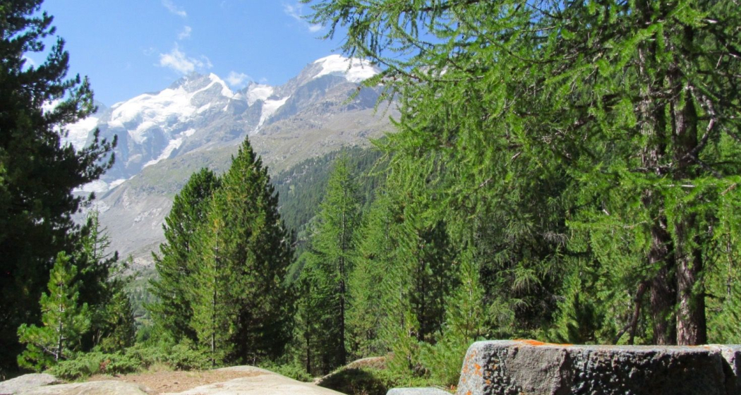 Sitzbank Chünetta (oua_620279087_image)