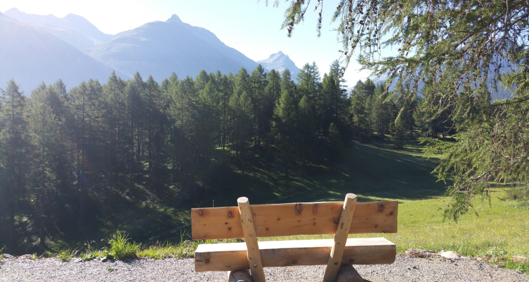 Sitzbänke Cristolais - Aussicht Samedan (oua_620279133_image) Sitzbänke Cristolais - Aussicht Samedan (oua_620279133_image)