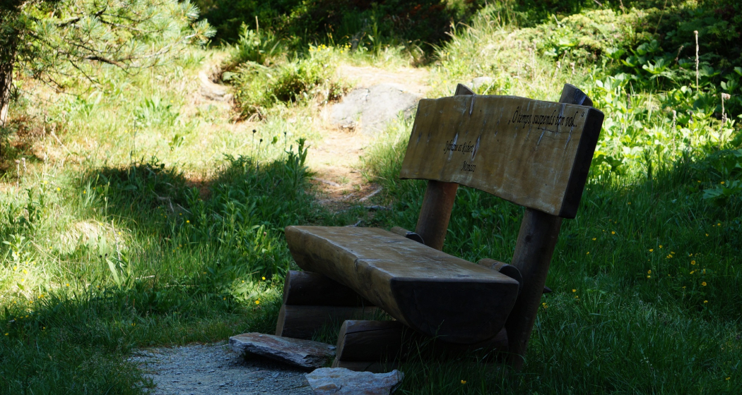 Sitzbänkli auf Halbinsel Chastè (oua_620279175_image) Sitzbänkli auf Halbinsel Chastè (oua_620279175_image)