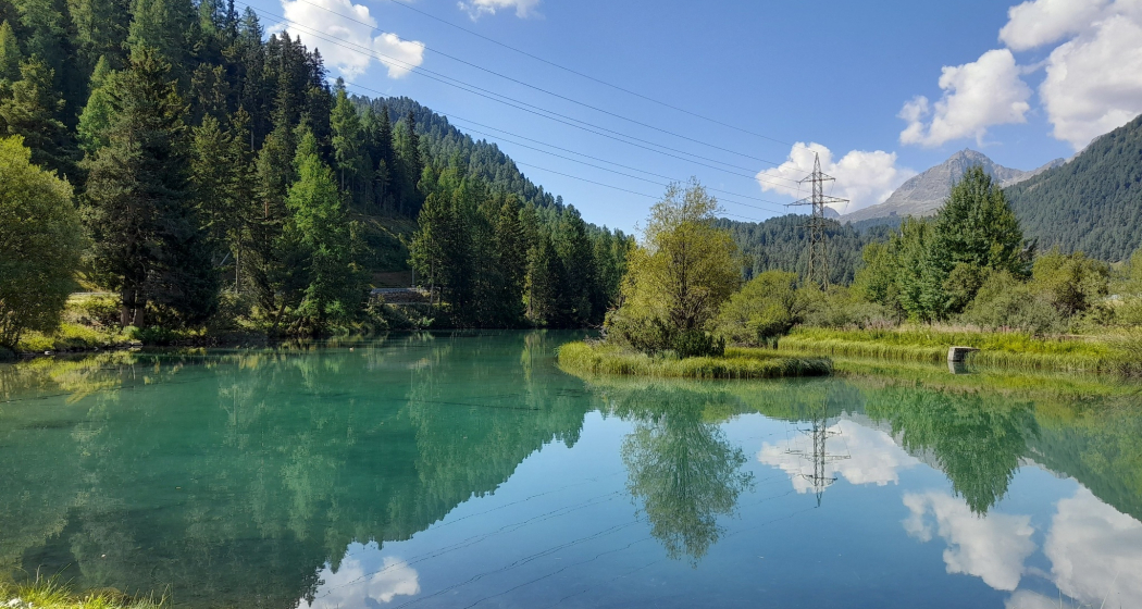 Feuerstelle beim Lej da Spuondas (oua_620279221_image) Feuerstelle beim Lej da Spuondas (oua_620279221_image)