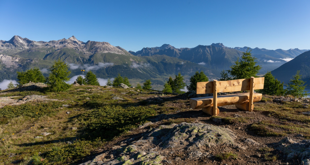 Sitzbank Muottas da Schlarigna (oua_620279230_image) Sitzbank Muottas da Schlarigna (oua_620279230_image)