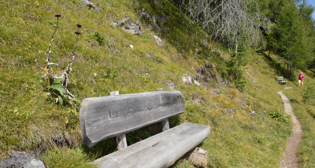 Sitzbank Via Segantini 2 (oua_620279467_image) Sitzbank Via Segantini 2 (oua_620279467_image)