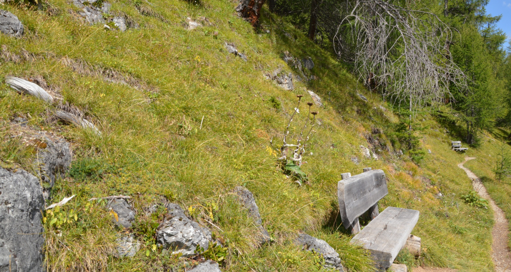 Sitzbank Via Segantini 2 (oua_620279468_image) Sitzbank Via Segantini 2 (oua_620279468_image)