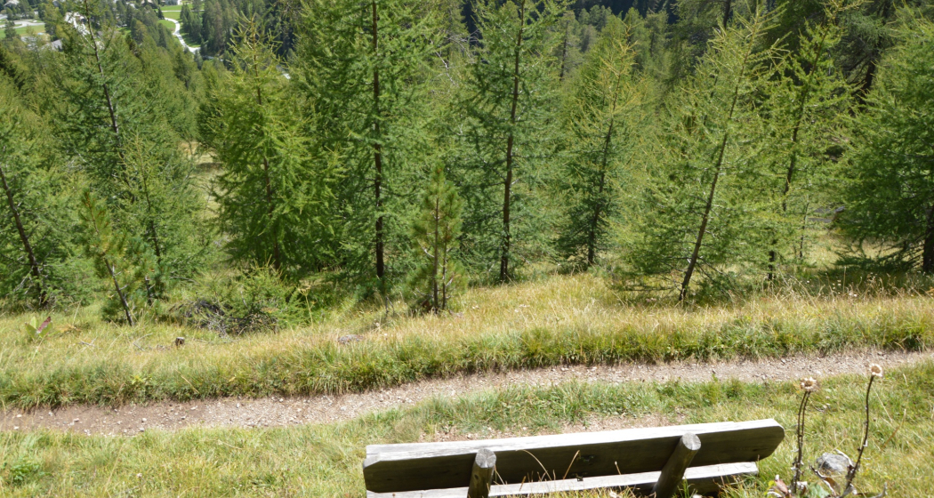 Sitzbank Via Segantini 2 (oua_620279469_image) Sitzbank Via Segantini 2 (oua_620279469_image)