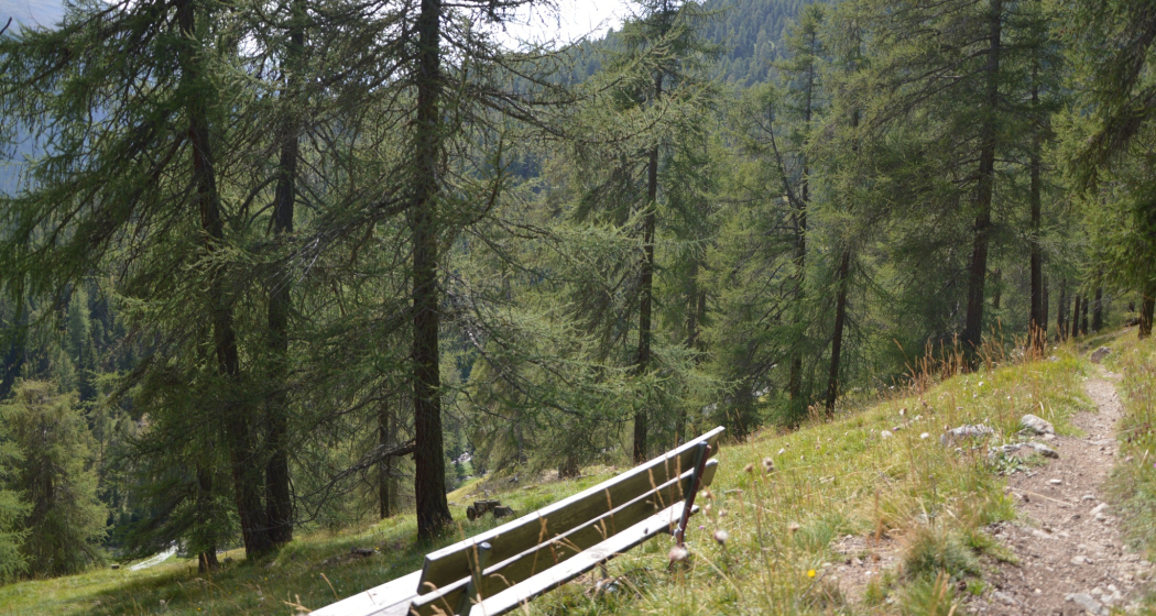 Sitzbank God Arschaida 2 (oua_620279618_image)