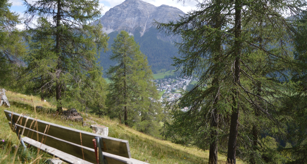 Sitzbank God Arschaida 2 (oua_620279620_image)