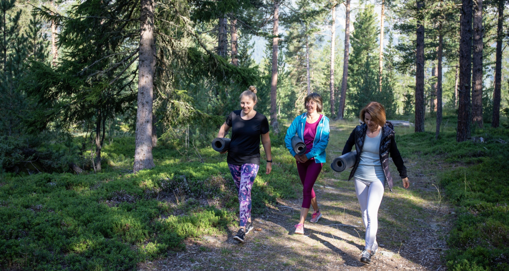 Yogaplattformen im Stazerwald (oua_620280092_image) Yogaplattformen im Stazerwald (oua_620280092_image)