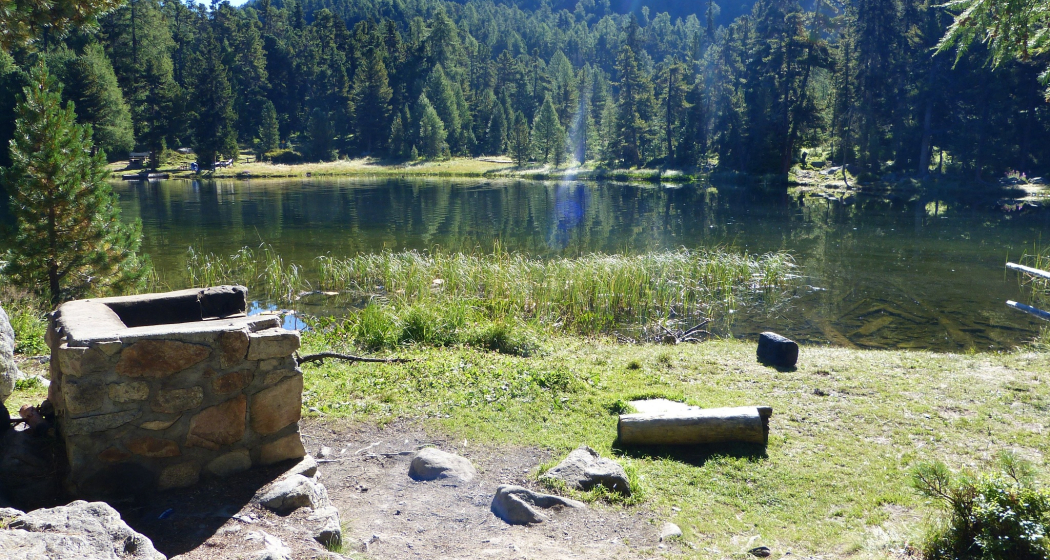 Diverse Feuerstellen am Lej Nair (oua_620280381_image)