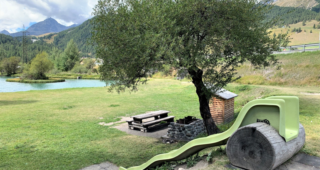 Feuerstelle beim Lej da Spuondas (oua_620280491_image)