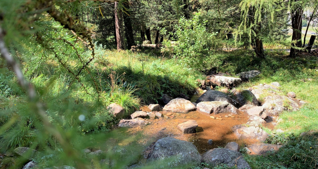 Feuerstelle beim Ovelin da la Spusa (oua_620280506_image) Feuerstelle beim Ovelin da la Spusa (oua_620280506_image)