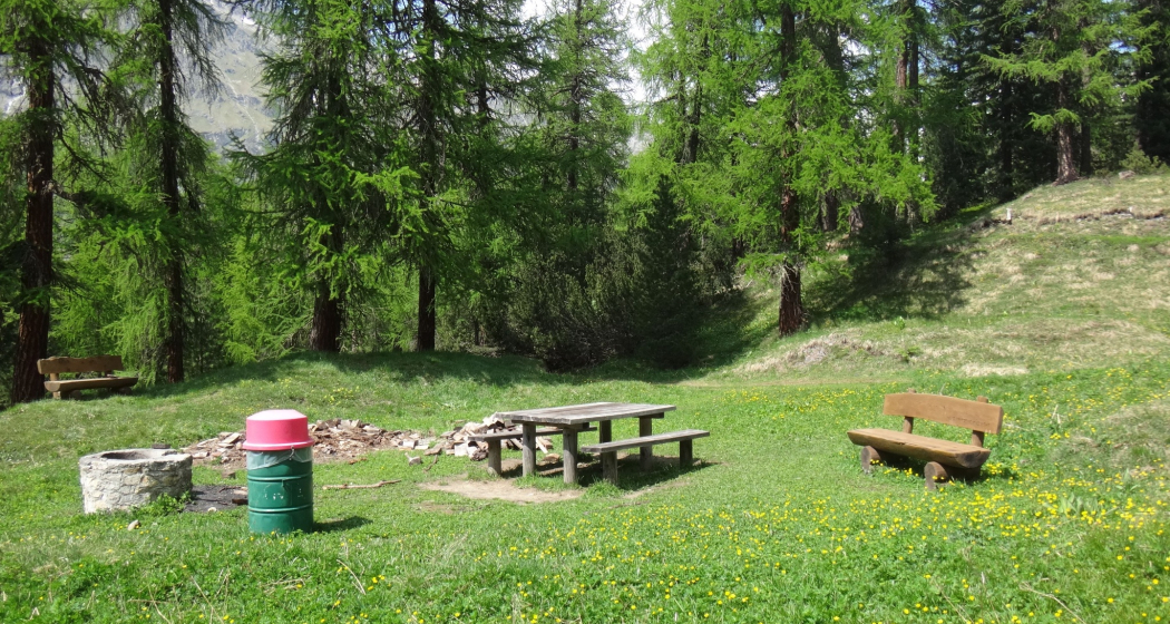 Feuerstelle im Laretwald (oua_620280526_image) Feuerstelle im Laretwald (oua_620280526_image)