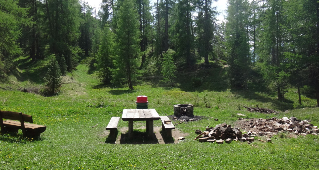 Feuerstelle im Laretwald (oua_620280527_image) Feuerstelle im Laretwald (oua_620280527_image)