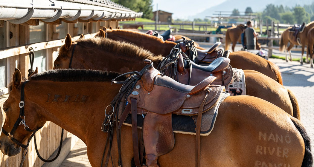 Engadin River Ranch (oua_620280584_image)